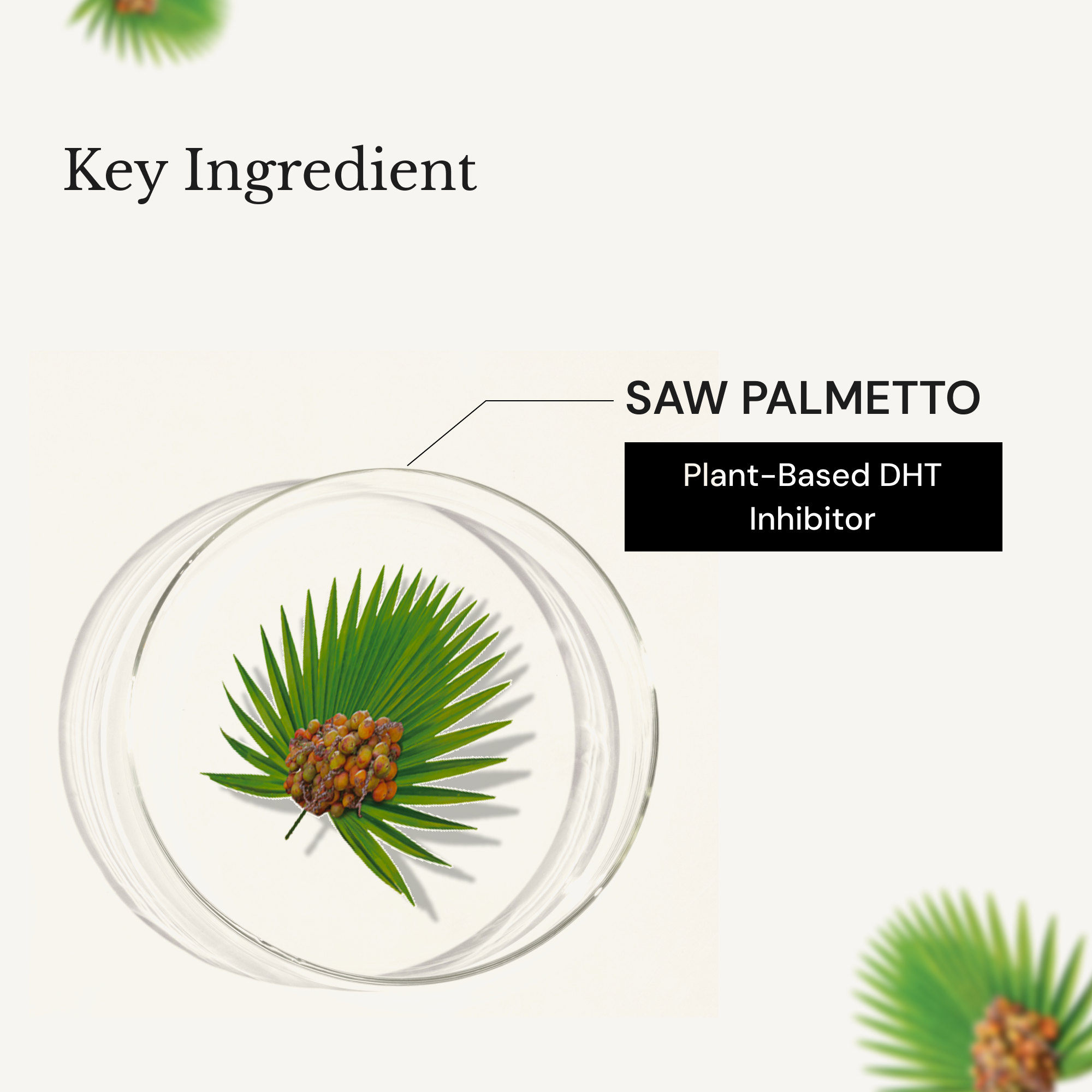 Richfeel Scalp Cleanser with Saw Palmetto | Anti-Hair Fall Shampoo