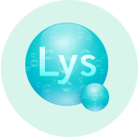 L-Lysine