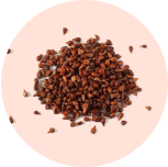 Grape Seed Extract